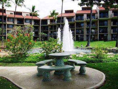 Wailea Condo 896112
